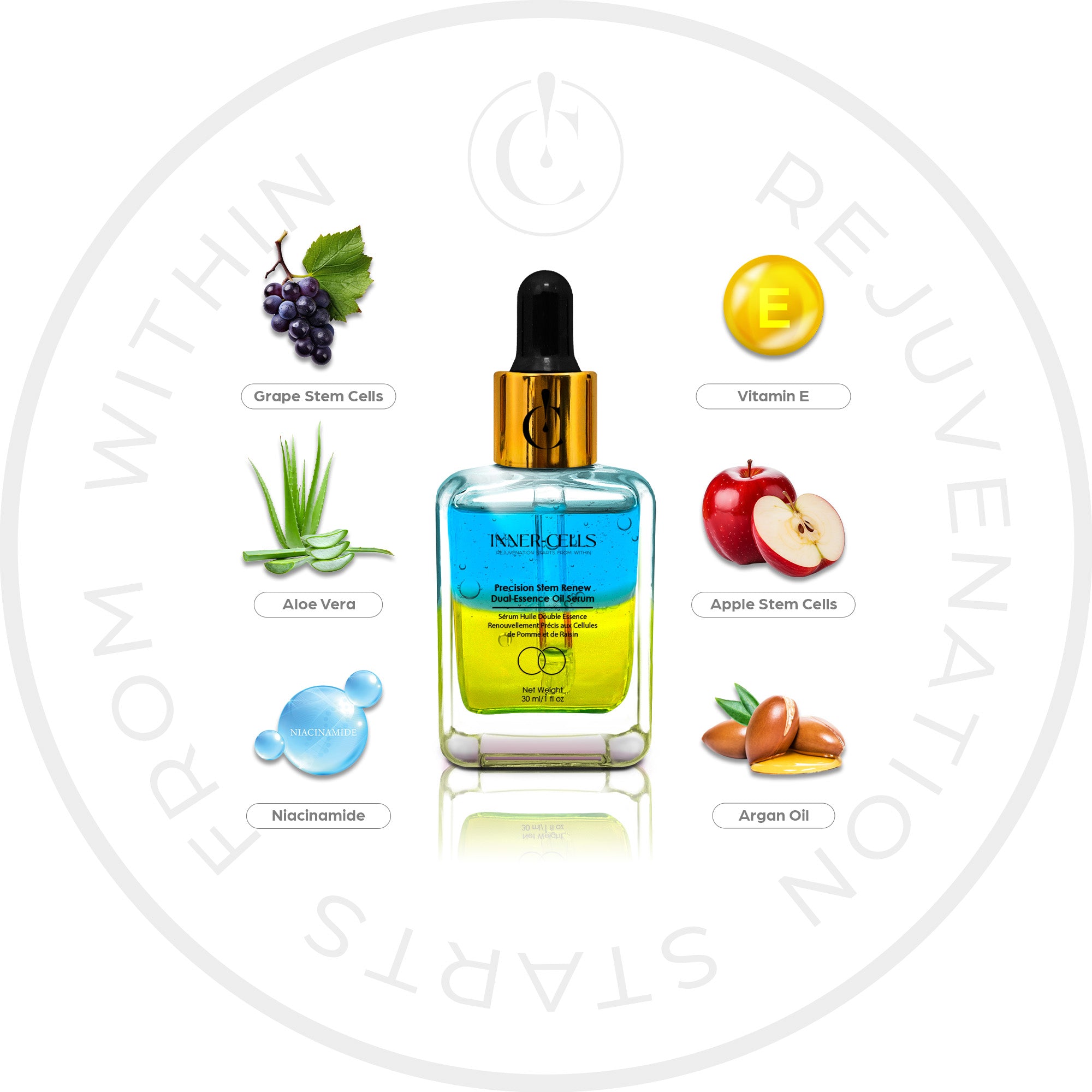 Precision Stem Renew Dual Essence Oil Serum – Inner Cells