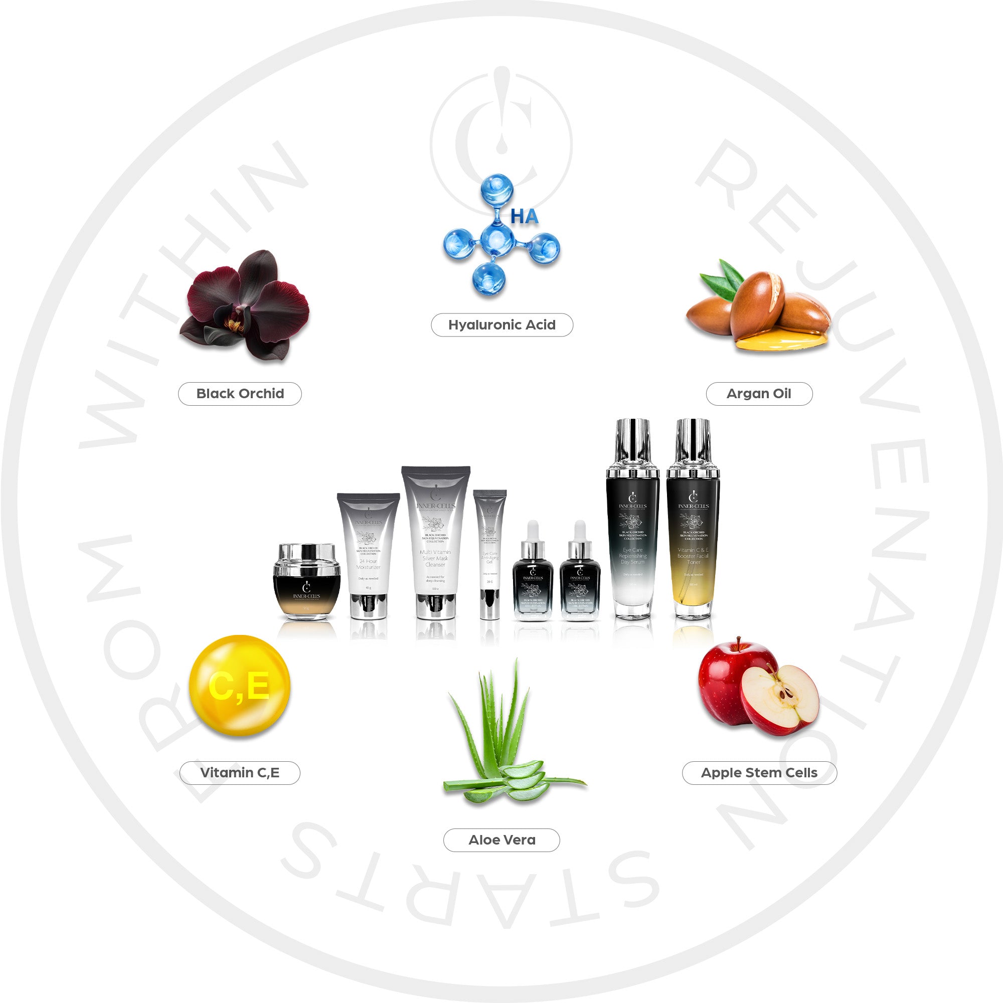 Black Orchid Skin Rejuvenation Collection